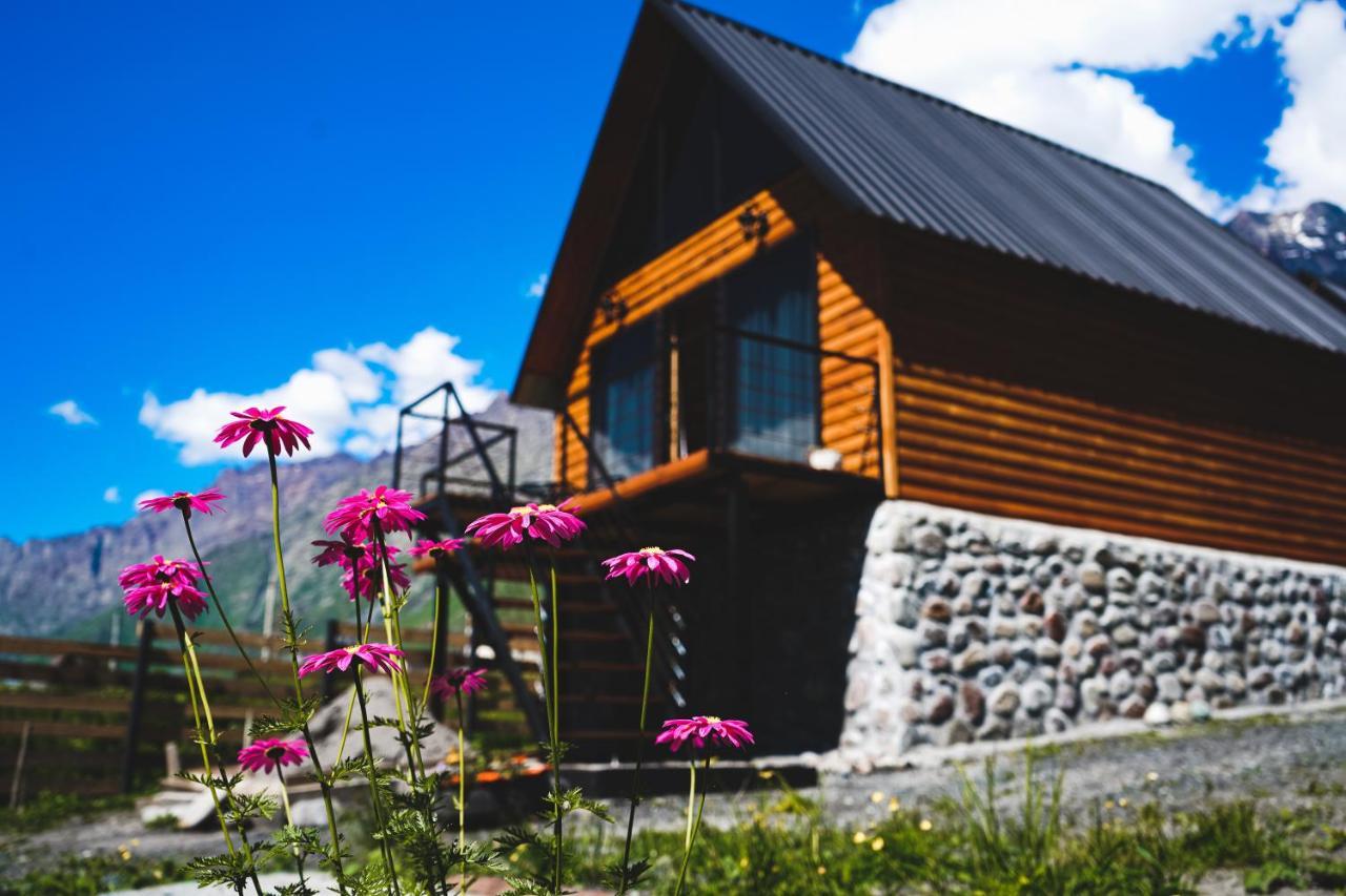 Traveler'S Cottages In Kazbegi Kültér fotó