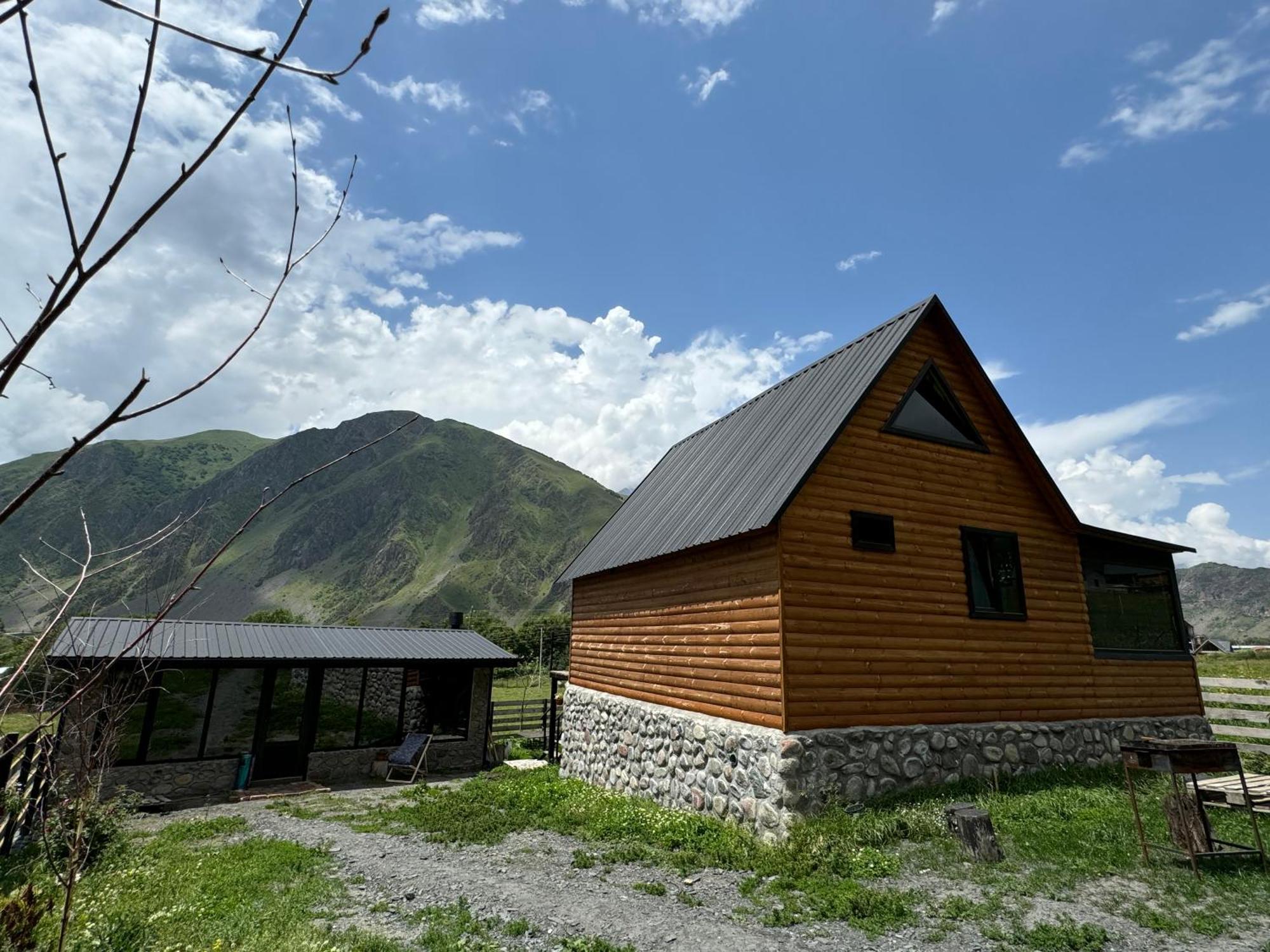 Traveler'S Cottages In Kazbegi Kültér fotó